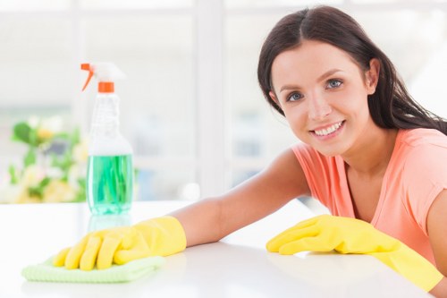 Professional carpet cleaning for a Marylebone apartment interior