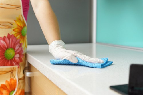 Domestic cleaner working in a Marylebone townhouse living room