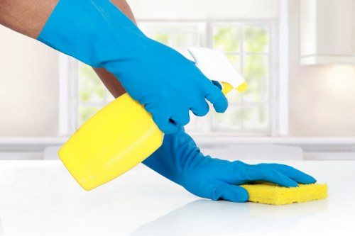 Deep kitchen and bathroom cleaning service in Marylebone
