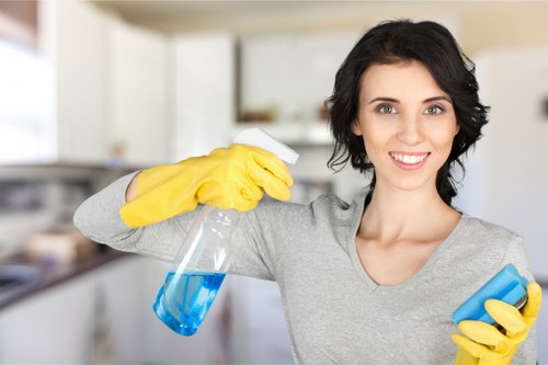 Careful upholstery cleaning in a Marylebone apartment