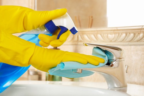 Professional oven cleaning service for Marylebone homes and flats