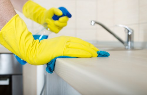 Legal terms document for carpet cleaning service