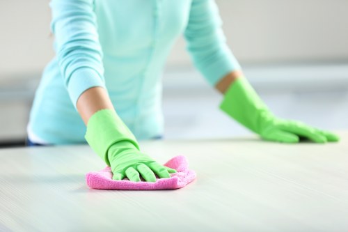 Local house cleaning service for a Marylebone flat with period features