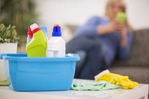 Regular home cleaning in a Marylebone flat near central London