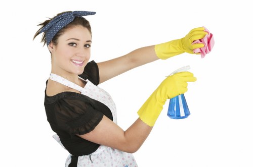 Preparation checklist and cleaning setup for a Marylebone home