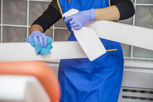Local stain removal service for delicate fabrics and interior furnishings