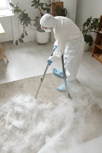 A professional cleaner dressed in a white protective suit, gloves, and face mask is using a steam cleaning tool to deep clean a light-colored, plush carpet in a bright, modern living room. The room features wooden furniture, large windows with natural light, and a tall potted plant with broad leaves, indicating a domestic setting. The cleaner is methodically moving the cleaning equipment across the carpet to remove dirt and allergens, ensuring surface cleaning and sanitisation. The scene highlights thorough and hygienic carpet maintenance as part of domestic cleaning services offered by Carpet Cleaning Marylebone, emphasizing their expertise in deep cleaning and surface hygiene for homeowners.
